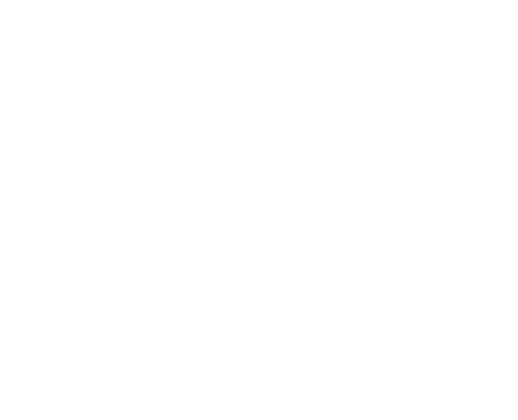The Wallace Insurance Agency Logo 2 White (1)
