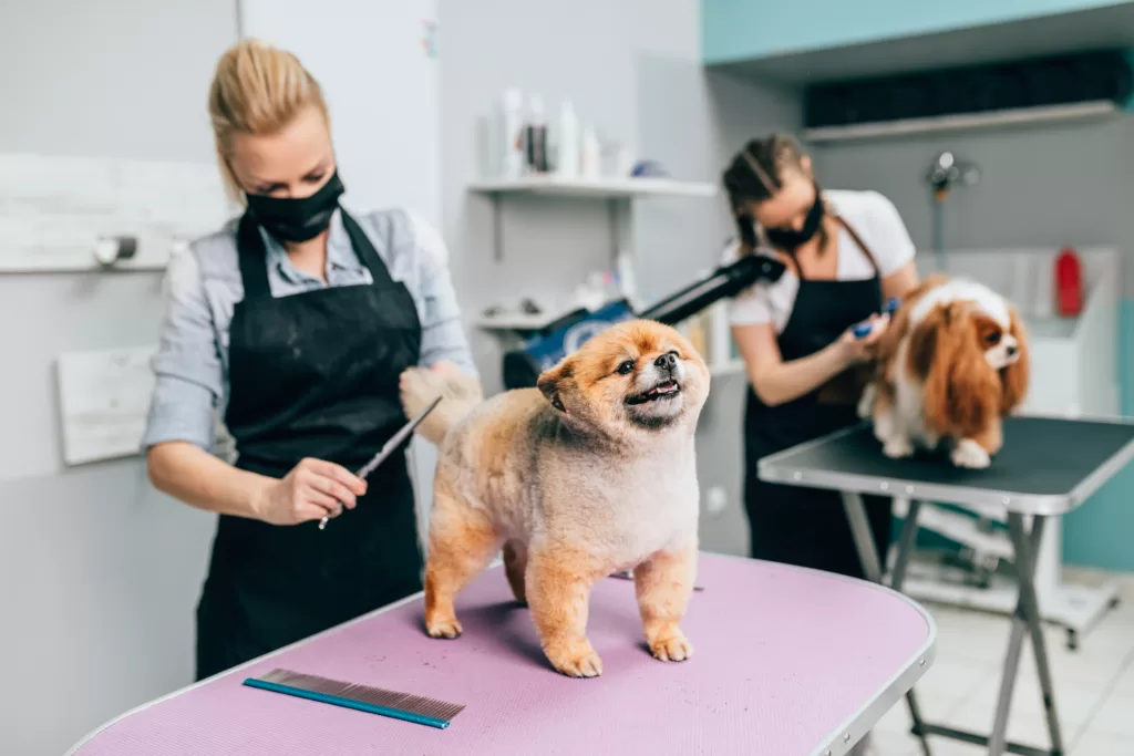 Pet Groomer Insurance