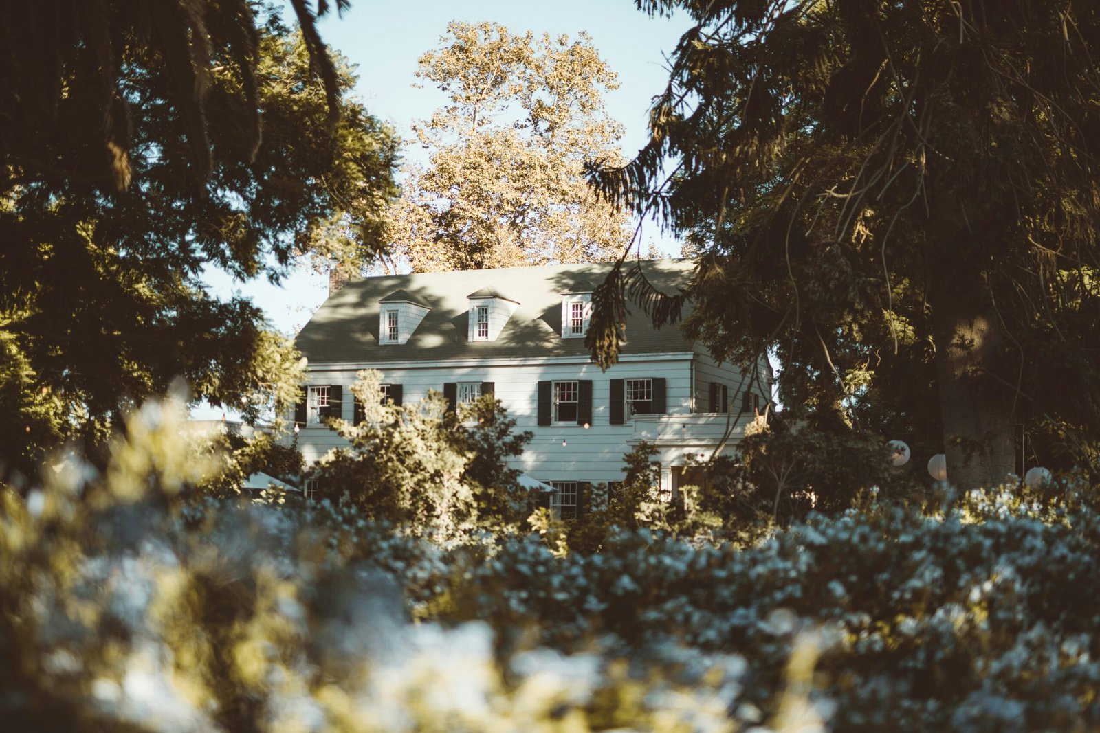 Vintage home surrounded by trees